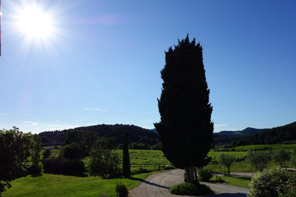 Le Mas En Provence Bed and Breakfast Entrechaux Exterior foto