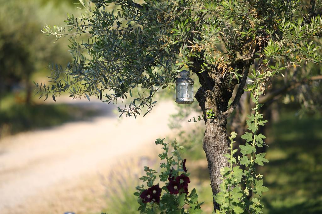 Le Mas En Provence Bed and Breakfast Entrechaux Exterior foto